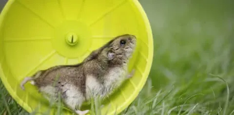 sin avanzar